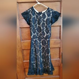 Express Lace and Cut Out Back Dress